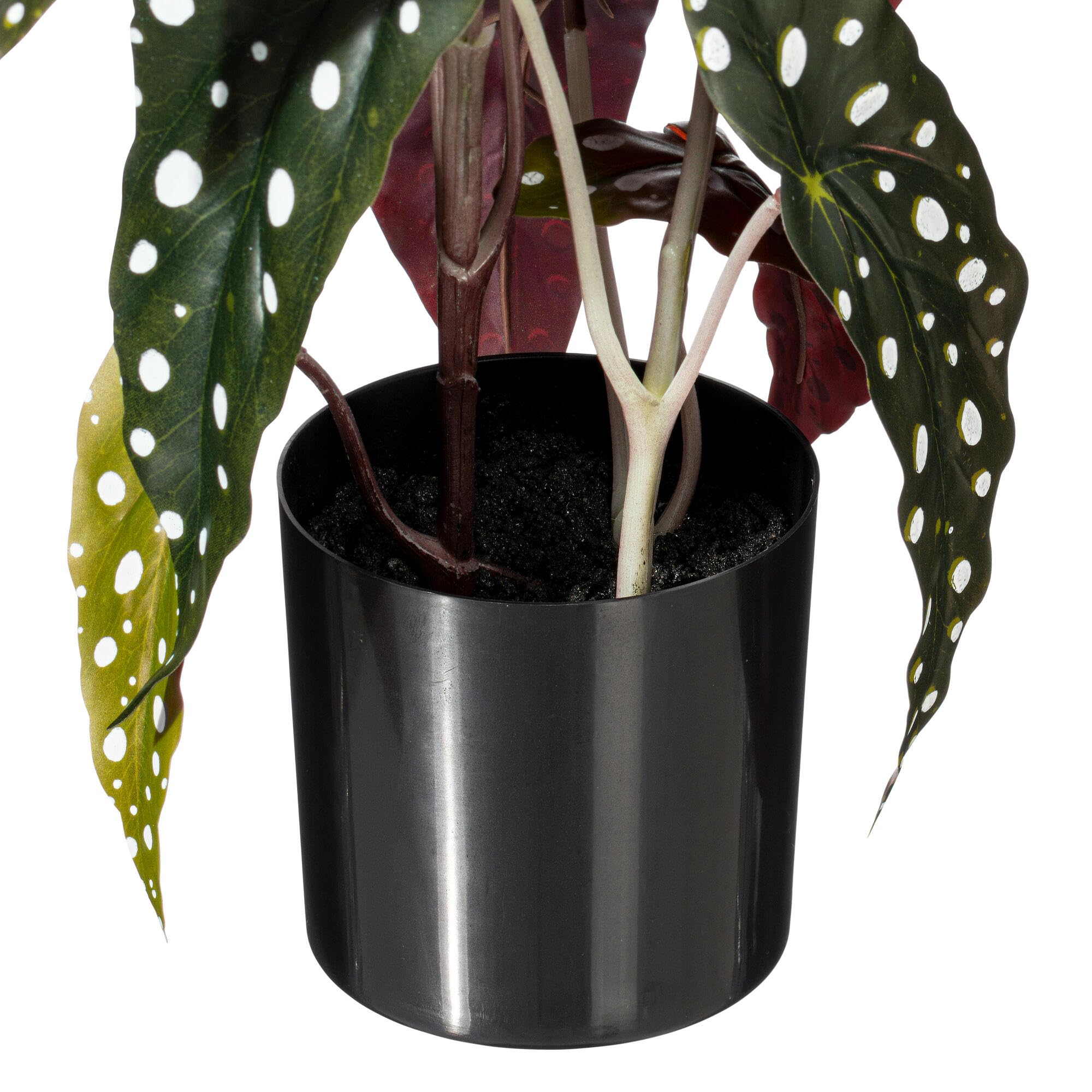 Amazon.com: Vickerman 18